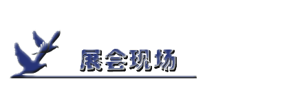 L.png